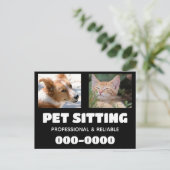 犬や猫の写真を使ったペット座りビジネス ポストカード (スタンド正面)