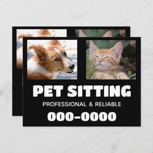 犬や猫の写真を使ったペット座りビジネス ポストカード (正面/裏面)