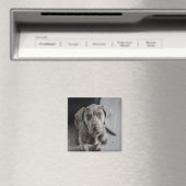 犬や猫の写真を追加するパーソナライズされた マグネット (インサイチュ (食洗機))