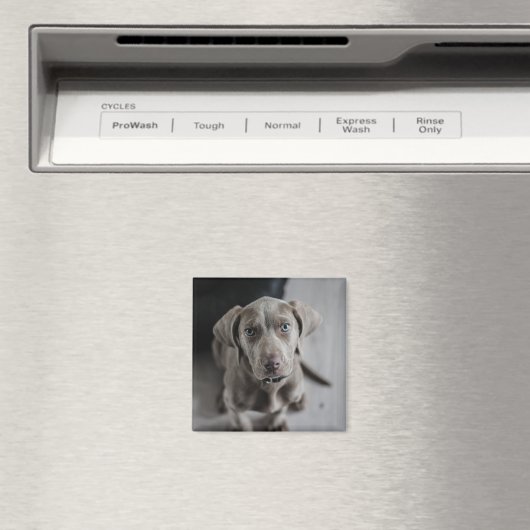 犬や猫の写真を追加するパーソナライズされた マグネット (インサイチュ (食洗機))