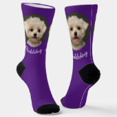 犬や猫の飼い主のためのペットの写真 ソックス (傾斜あり)