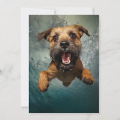 犬よくはしゃぐ水中スイミングデザイン カード (正面)