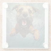 犬よくはしゃぐ水中スイミングデザイン ガラスコースター (裏面)