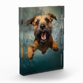 犬よくはしゃぐ水中スイミングデザイン フォトブロック (左)