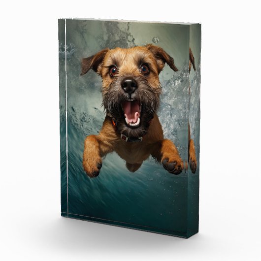 犬よくはしゃぐ水中スイミングデザイン フォトブロック (右)