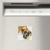 犬をかむテニスボール マグネット (インサイチュ (食洗機))