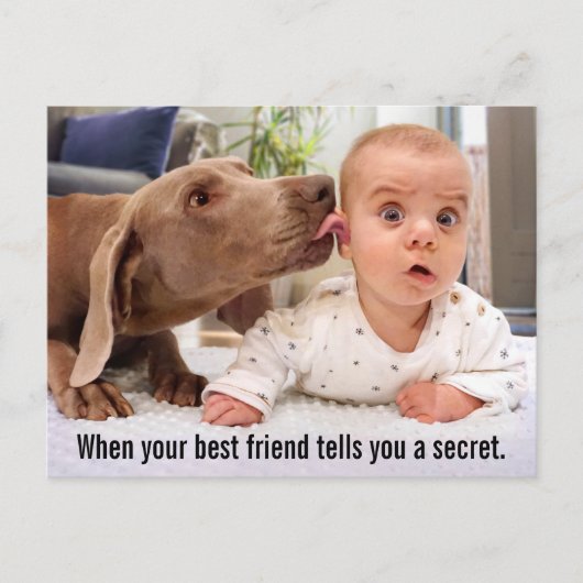 犬をなめるベビーの耳 インビテーションポストカード (正面)