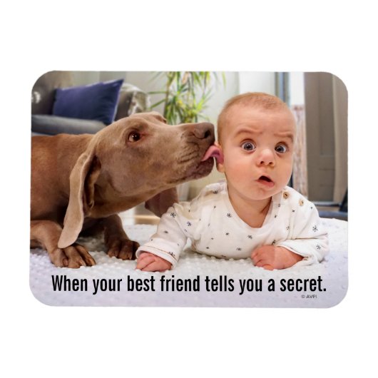 犬をなめるベビーの耳 マグネット (横)
