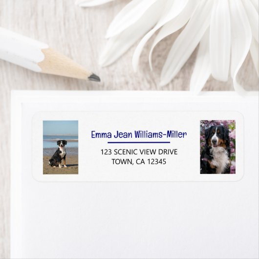 犬を使って写真を個人用に設定モダン差出人住所 ラベル (インサイチュ)