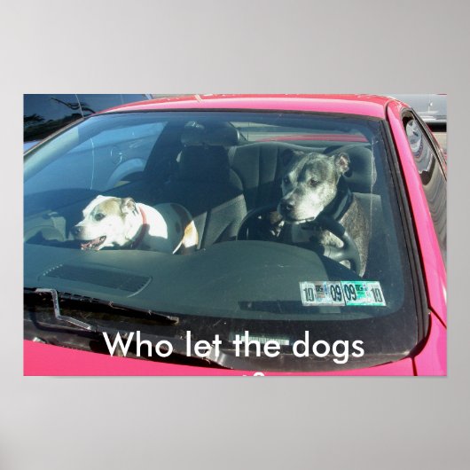 犬を外に出したのは誰?ポスター ポスター (正面)