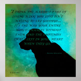 犬を嫌う ポスター