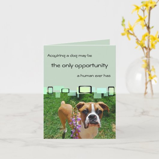 犬を得ることは唯一の機会であるかもしれません カード (黄色い花)