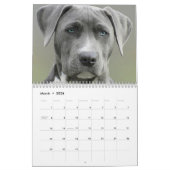. .犬を愛するための写カスタム真カレンダー カレンダー (3月 2026)