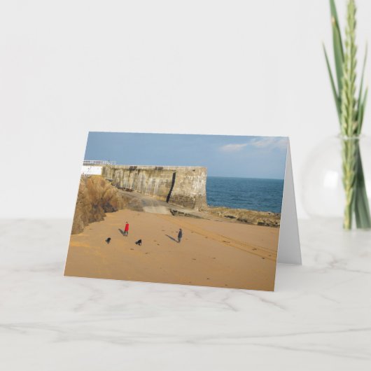 犬を散歩に連れて行く シーズンカード (正面)