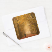 犬を歩くシールに貼った秋 スクエアシール (封筒)