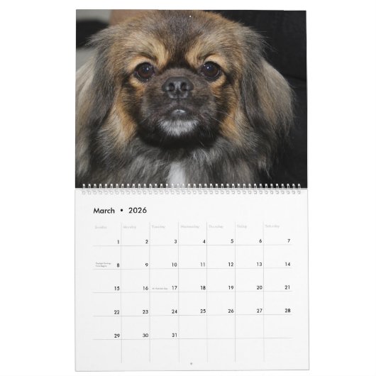 犬を表示 カレンダー (3月 2026)