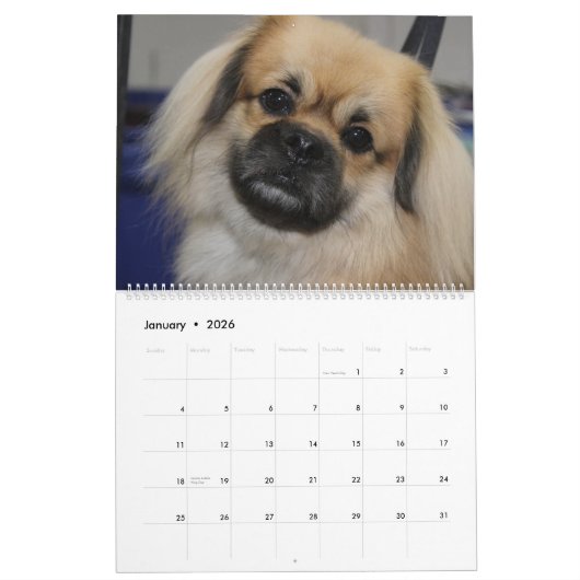 犬を表示 カレンダー (1月 2026)