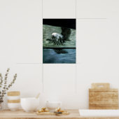 犬を飼っている人 ポスター (キッチン)