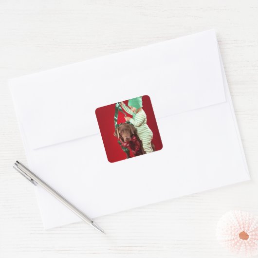 犬を飾っている小さい男の子 スクエアシール (封筒)