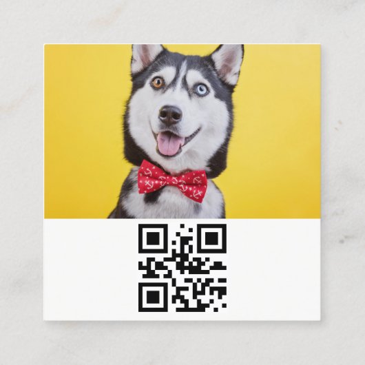 犬インフルエカスタムンサーの写真、ペット スクエア名刺 (裏面)