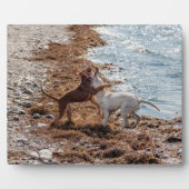 犬オンビーチ フォトプラーク (正面)