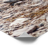 犬オンビーチ ポスター (角)