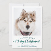 犬カスタムのペット写真メリークリスマス シーズンカード (正面)