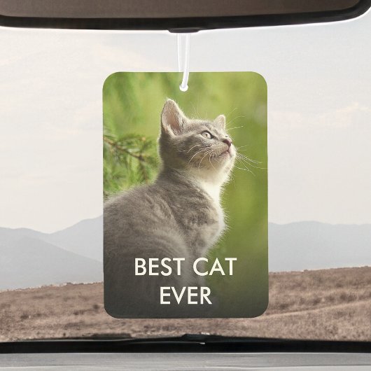 犬カスタム猫のペットの写真パーソナライズされたと名前 カーエアーフレッシュナー