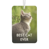 犬カスタム猫のペットの写真パーソナライズされたと名前 カーエアーフレッシュナー (裏面)