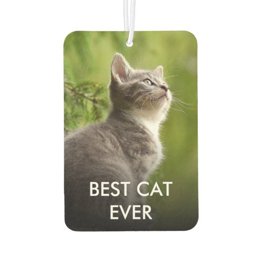 犬カスタム猫のペットの写真パーソナライズされたと名前 カーエアーフレッシュナー (裏面)