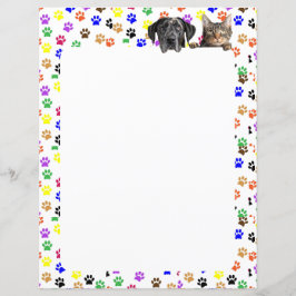 犬カラフルと猫8.5 x 11の手のひら