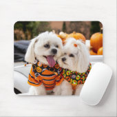 犬カラフル用マウスパッド マウスパッド (マウス)