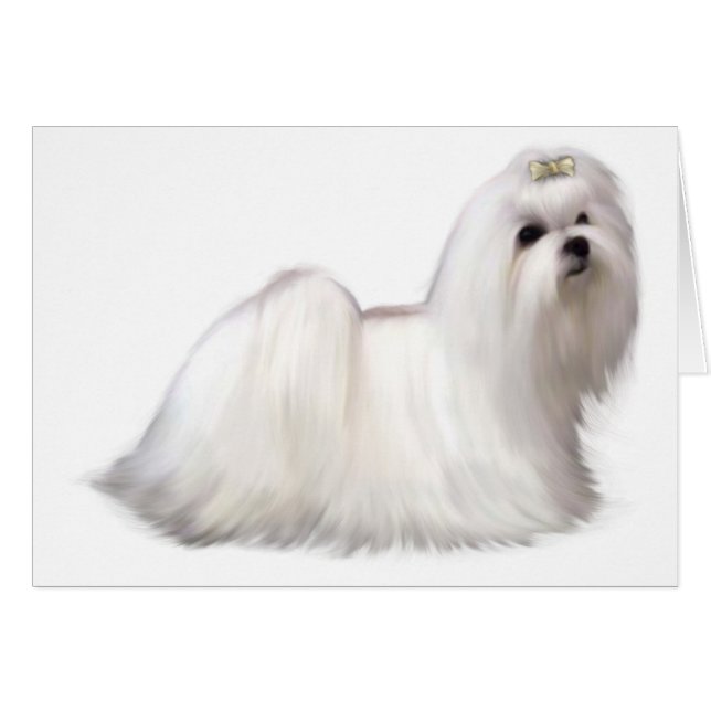 犬カード (正面横)