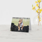 犬カード-私はあなたの背部を得ました カード (黄色い花)