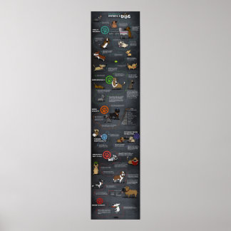 犬クールポスター ポスター