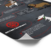 犬クールポスター ポスター (角)