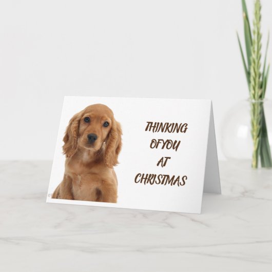 犬トリマー、獣医師およびドッグウォーカー カード (正面)