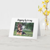 犬トリマー、獣医師およびドッグウォーカー カード (黄色い花)