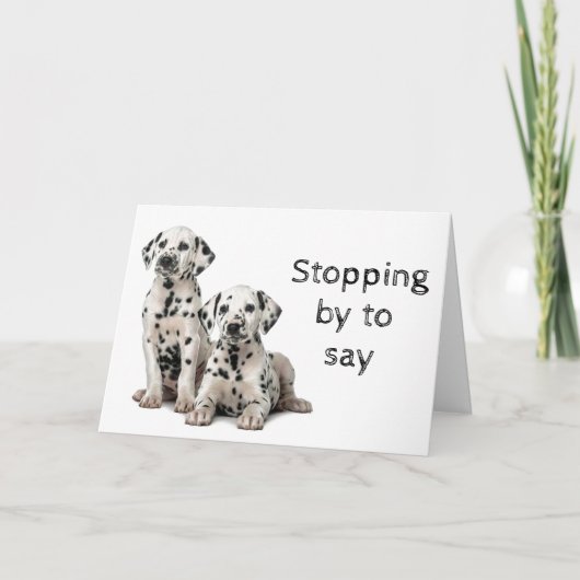 犬トリマー、獣医師およびドッグウォーカー カード (正面)