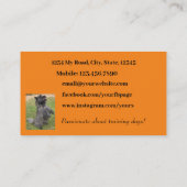 犬トレーナーフォトオレンジ柑橘系の背景ミニマル 名刺 (裏面)