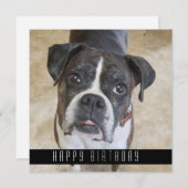 犬ハッピーバースデーカードからのボクサー誕生日 案内状 (正面/裏面)