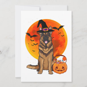 犬ハロウィーンドイツ羊飼いジャックランタンパンプク セーブザデート