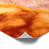 犬パルボウイルスの顕微鏡的見解1 ポスター (角)