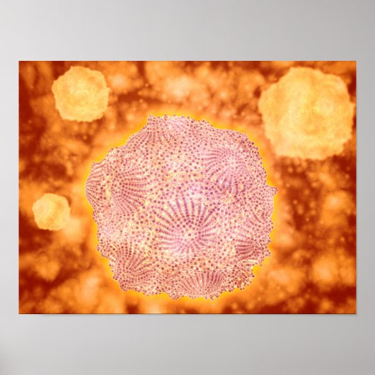 犬パルボウイルスの顕微鏡的見解1 ポスター (正面)