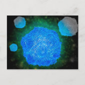 犬パルボウイルスの顕微鏡的見解3 ポストカード (正面)