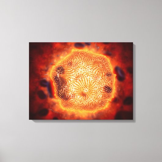 犬パルボウイルスの顕微鏡的見解4 キャンバスプリント (正面)