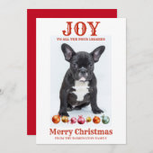 犬パーソナライズされたのクリスマスの喜び4人のleggeds シーズンカード (正面/裏面)