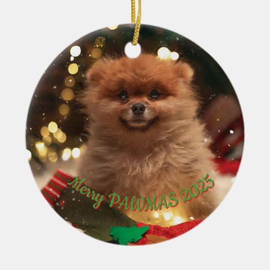 犬パーソナライズされたのクリスマス装飾 – カスタム写真 セラミックオーナメント (正面)