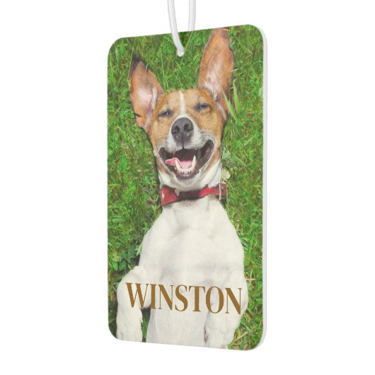 犬パーソナライズされたの写真と名前の車 カーエアーフレッシュナー (左)