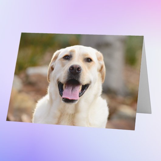 犬パーソナライズされたの写真 カード